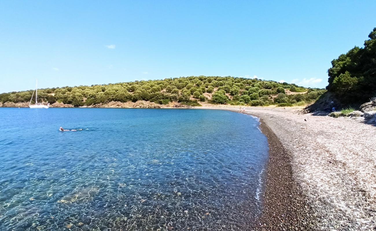 Foto af Ilia's Bay med let sten overflade