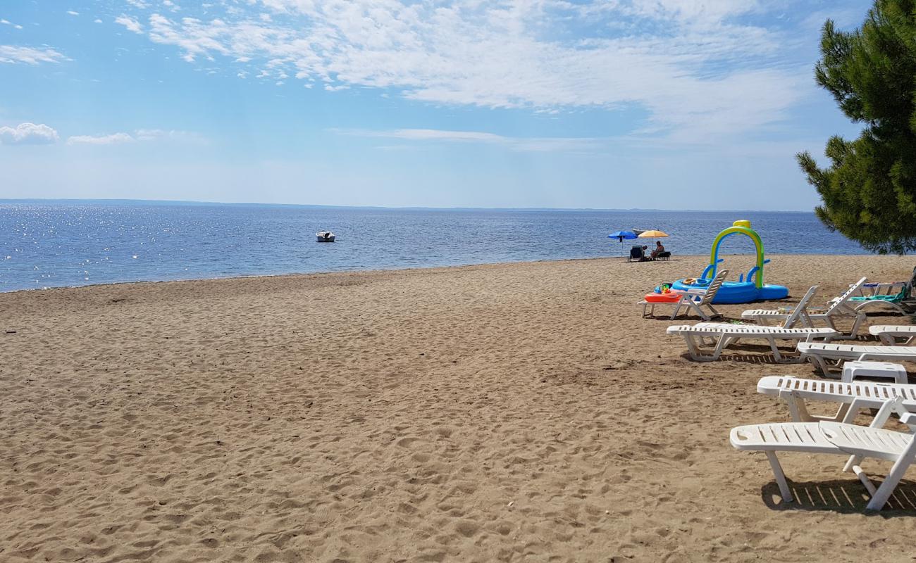 Foto af Psakudia beach med grå sand overflade