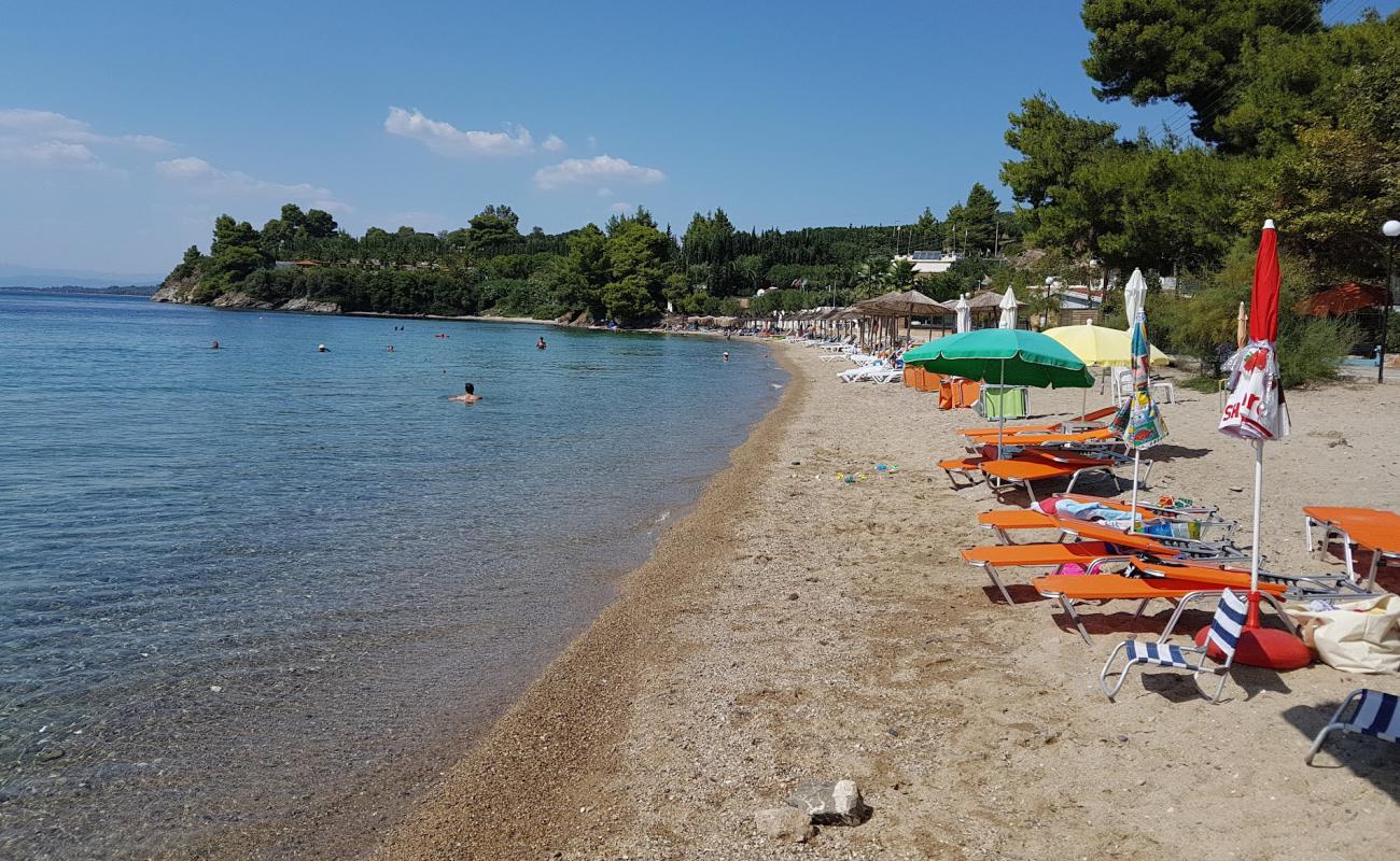 Foto af Paralia Paradisos med lys sand overflade