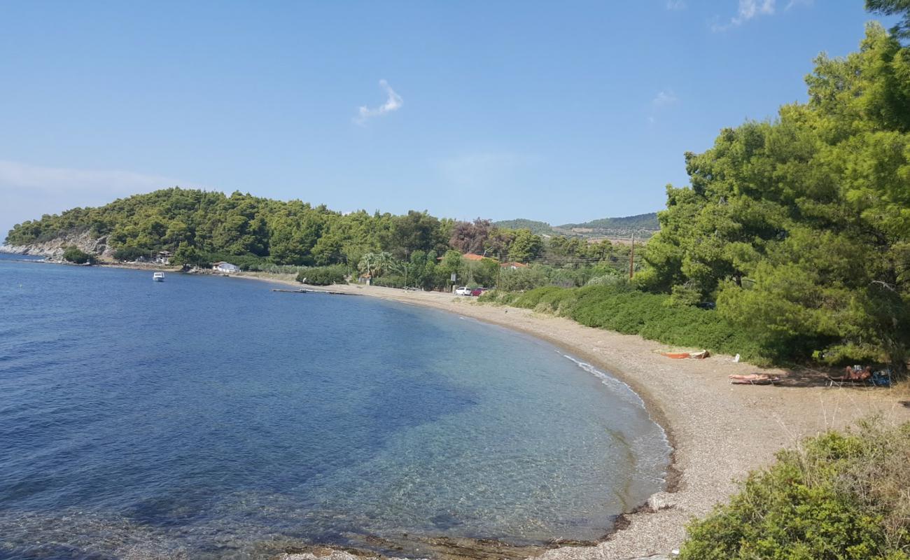 Foto af Koutsoupia beach med let sand og småsten overflade