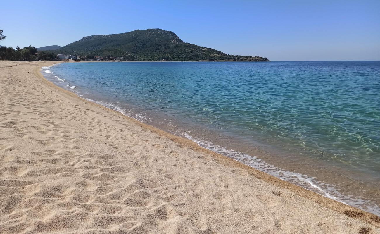 Foto af Paralia Toronis med lys fint sand overflade