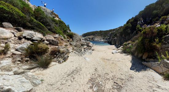 Sythonia wild beach VIII