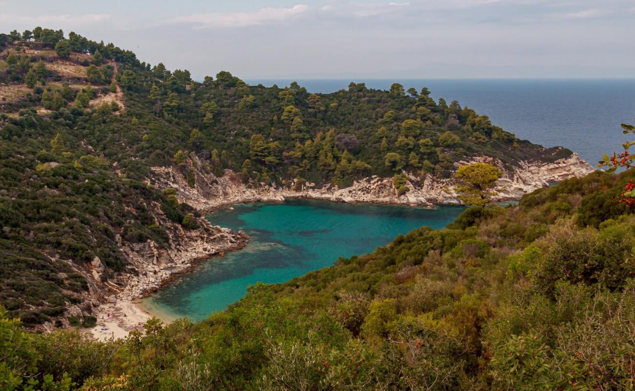 Foto af Sythonia wild beach X med lys sand overflade