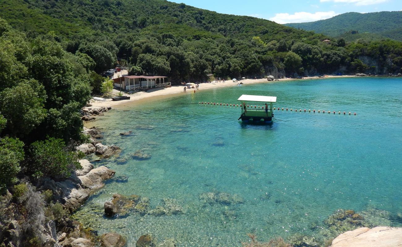 Foto af Paralia Vinia med lys sand overflade