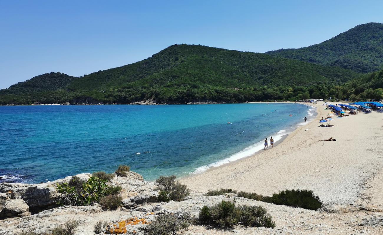 Foto af Vina Strand med gråt fint sand overflade