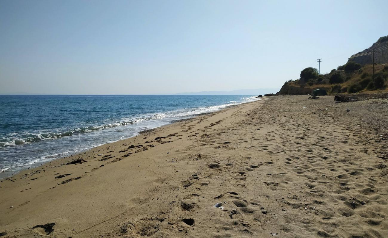 Foto af Coyota's beach med hvidt sand overflade