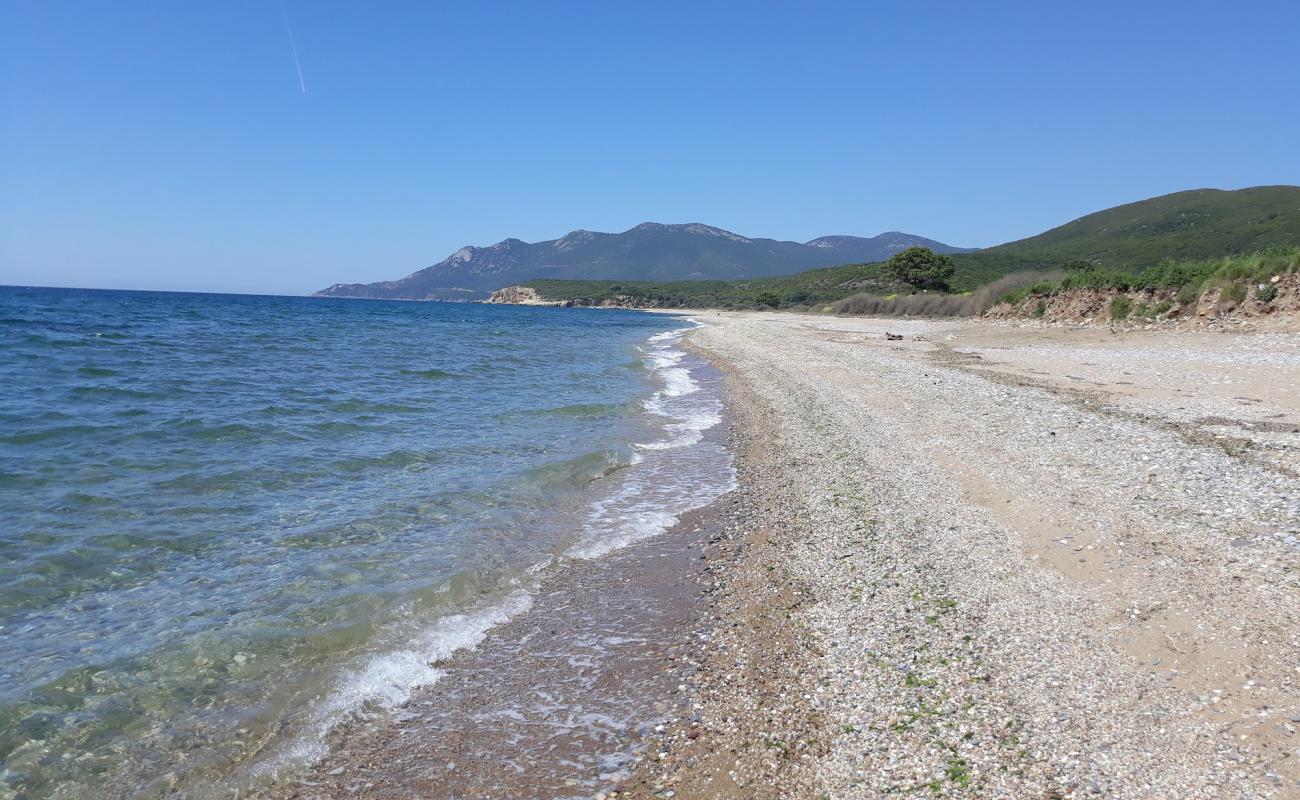 Foto af Mesimvria Zoni beach med let sand og småsten overflade