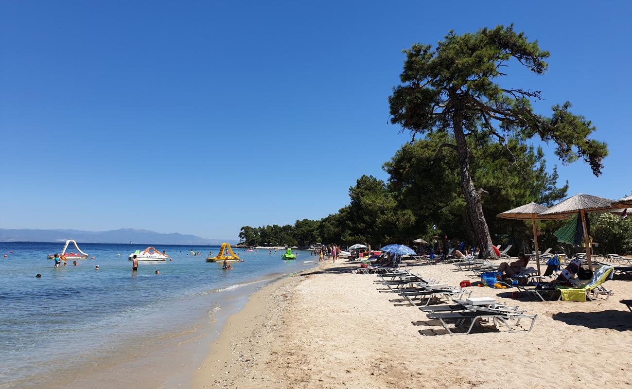 Foto af Pachis beach med hvidt sand overflade