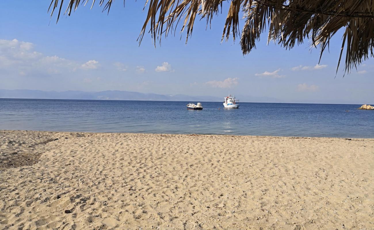 Foto af Revive beach med lys sand overflade