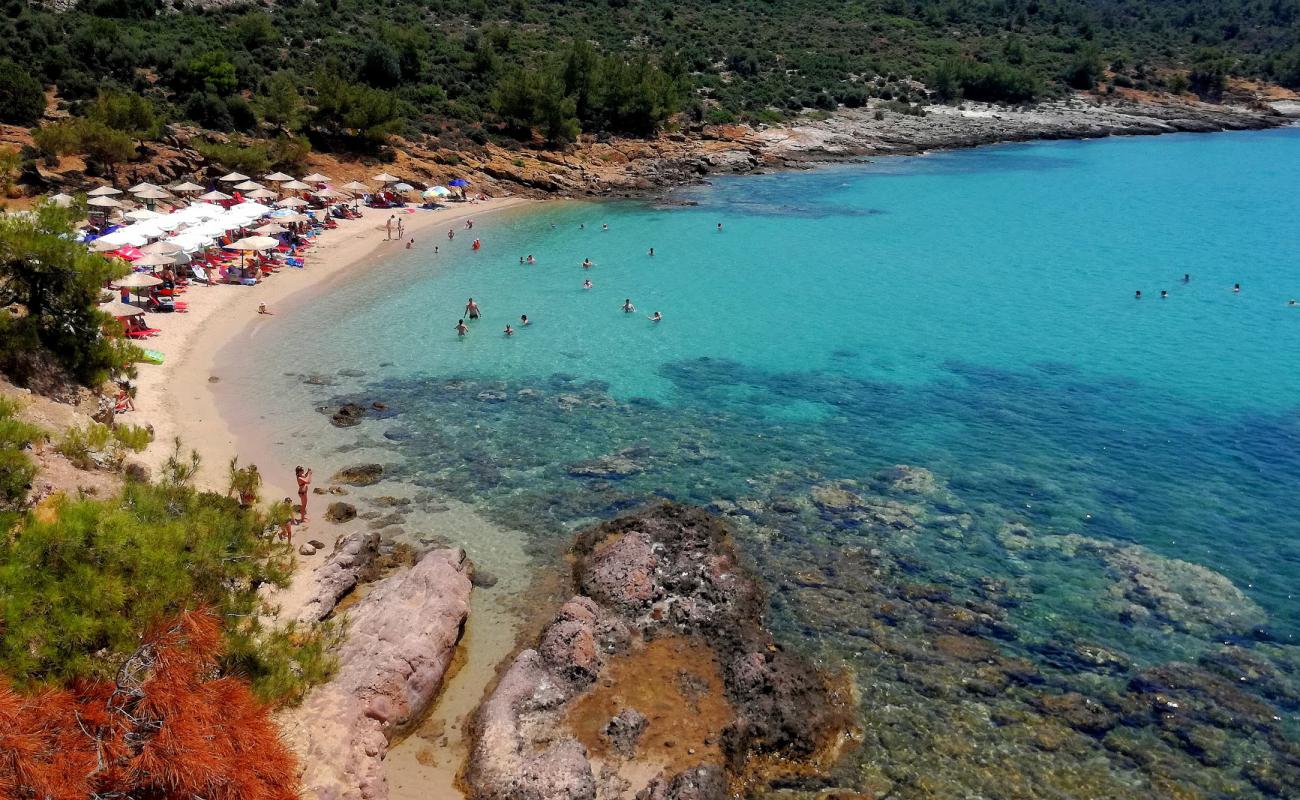 Foto af Notos Strand med lys sand overflade