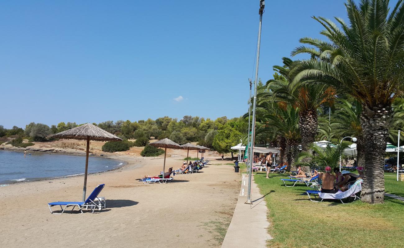 Foto af Voleri beach med brunt sand overflade