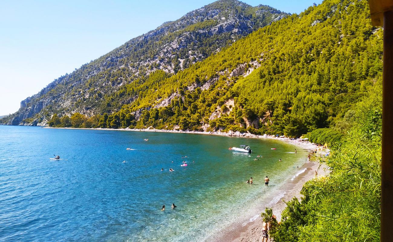 Foto af Dafni of Evia beach med grå fin sten overflade