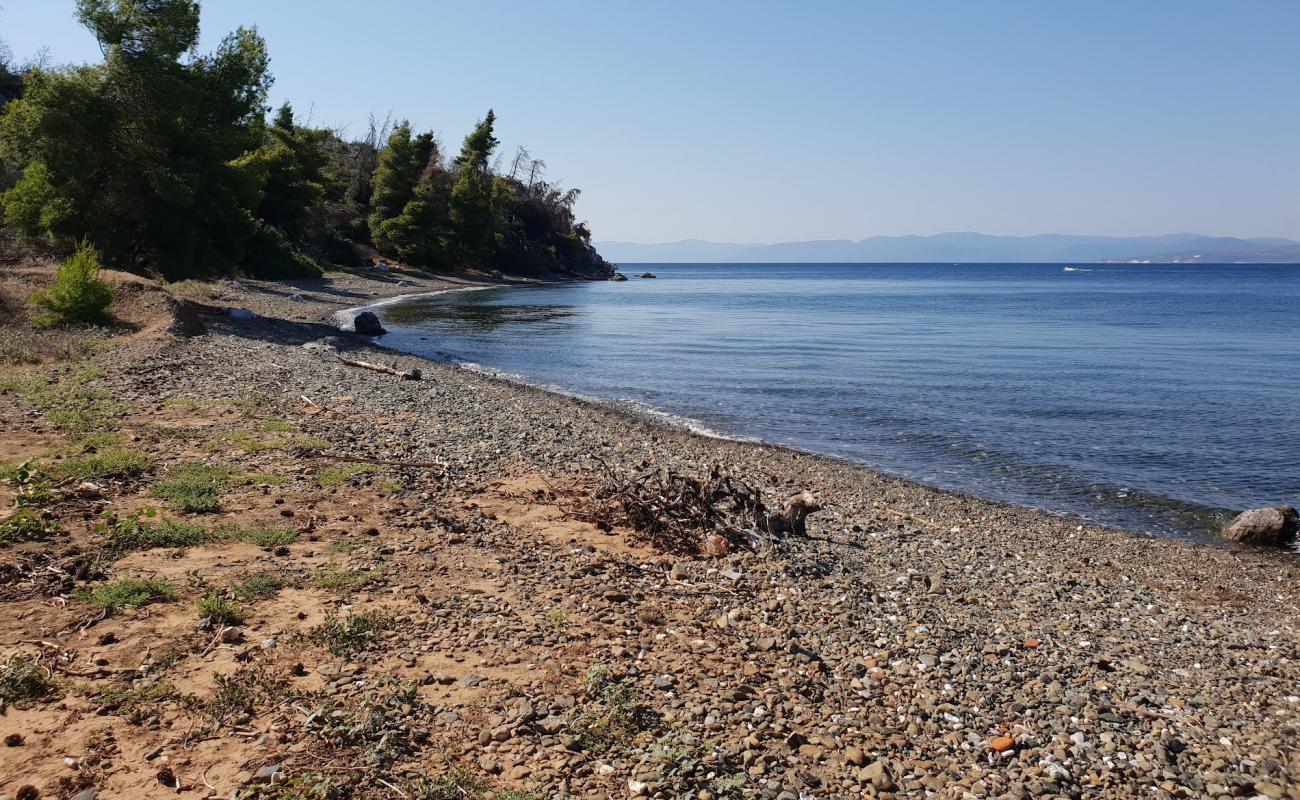 Foto af Galataki beach med brun fin sten overflade