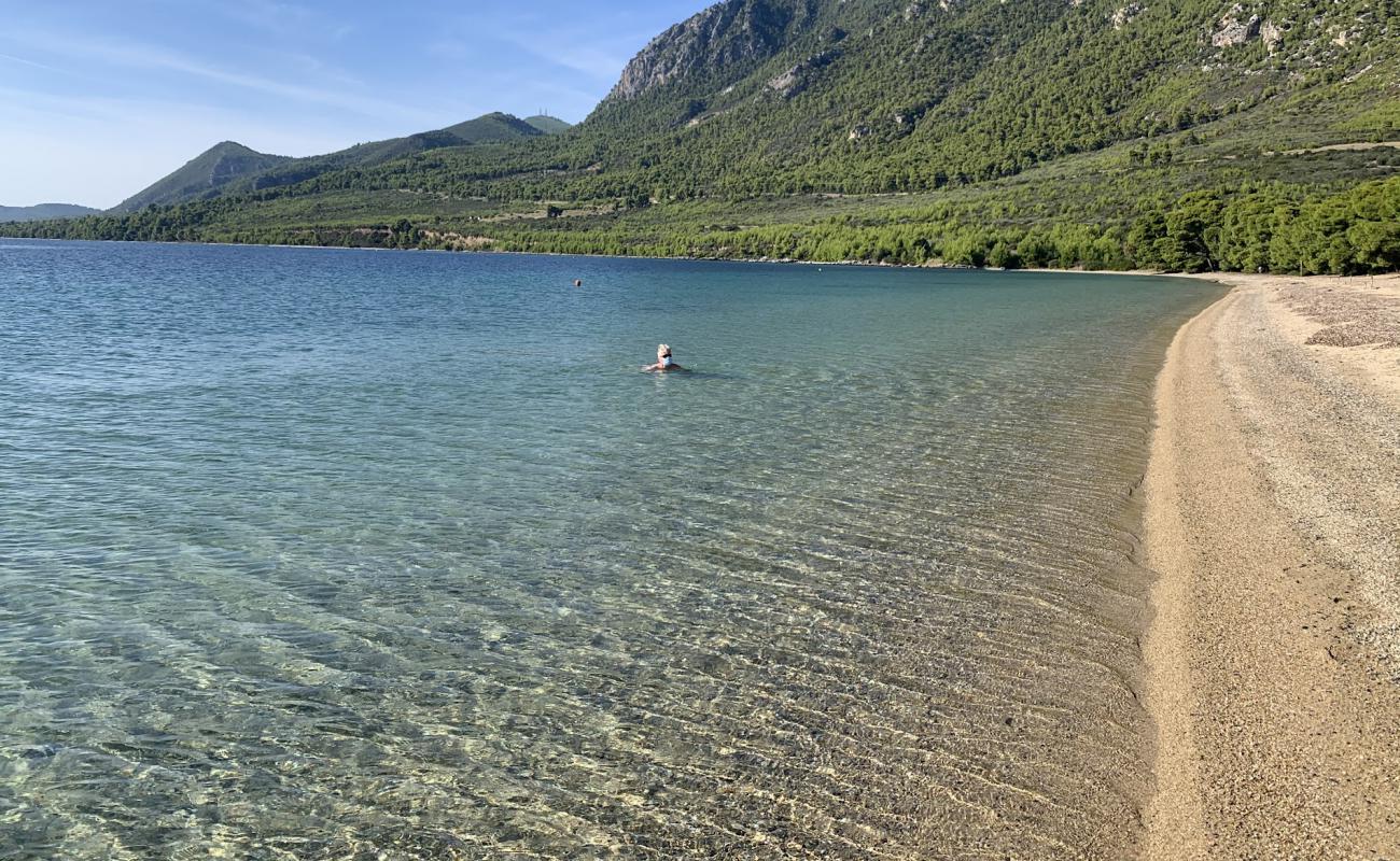 Foto af Gregolimano beach med lys sand overflade