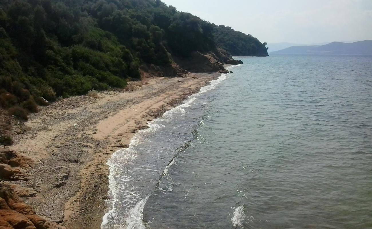 Foto af Agiokampos 2 beach med lys sand overflade