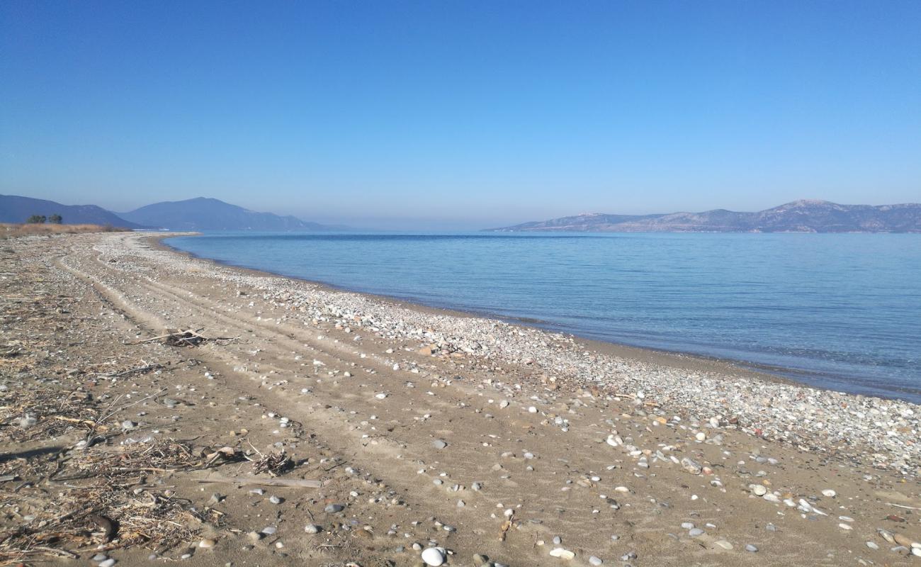 Foto af Saint Helen beach med gråt sand og småsten overflade