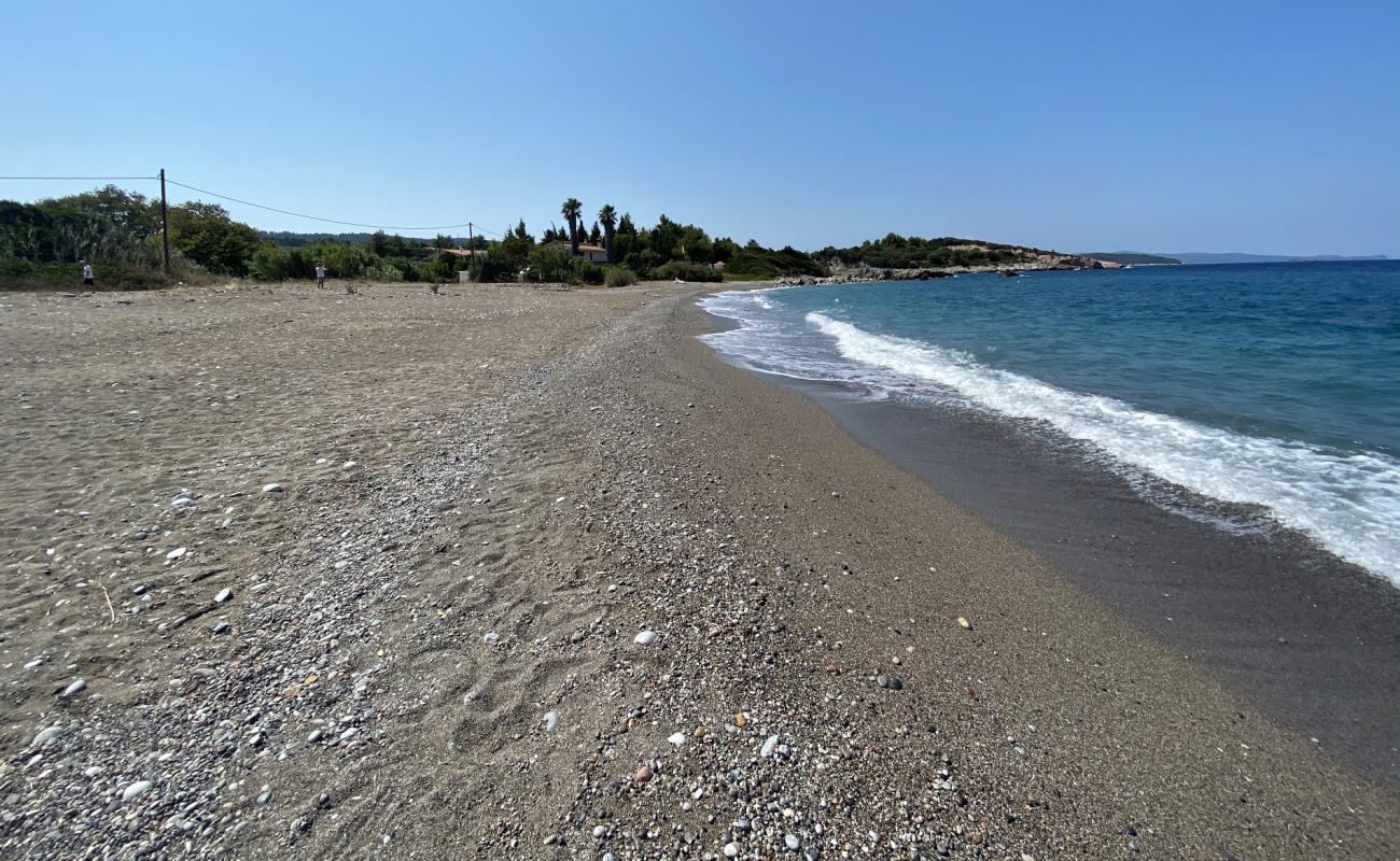 Foto af Black beach med grå sten overflade