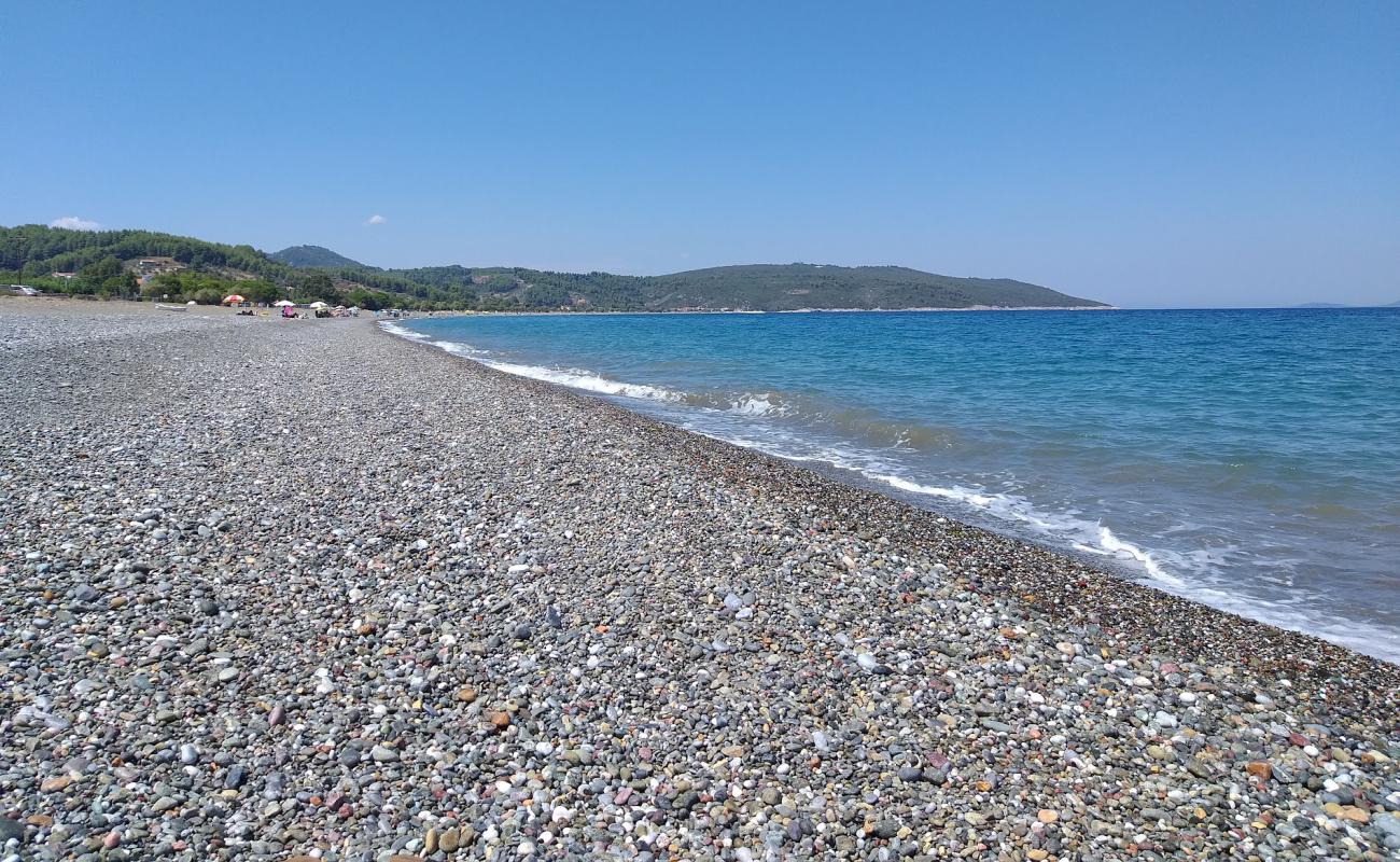 Foto af Elinika beach med grå sten overflade