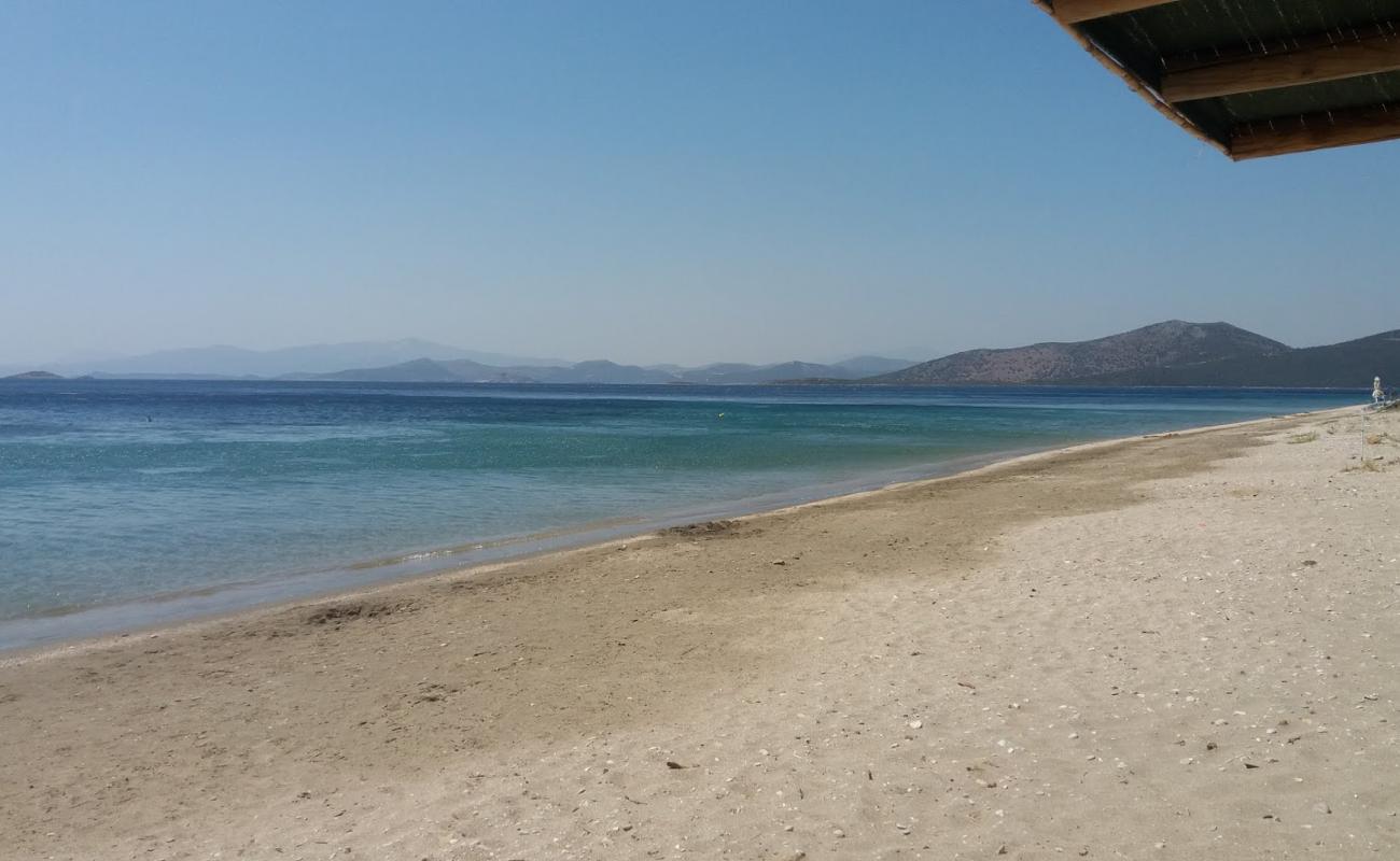 Foto af Delissos beach med brunt sand overflade