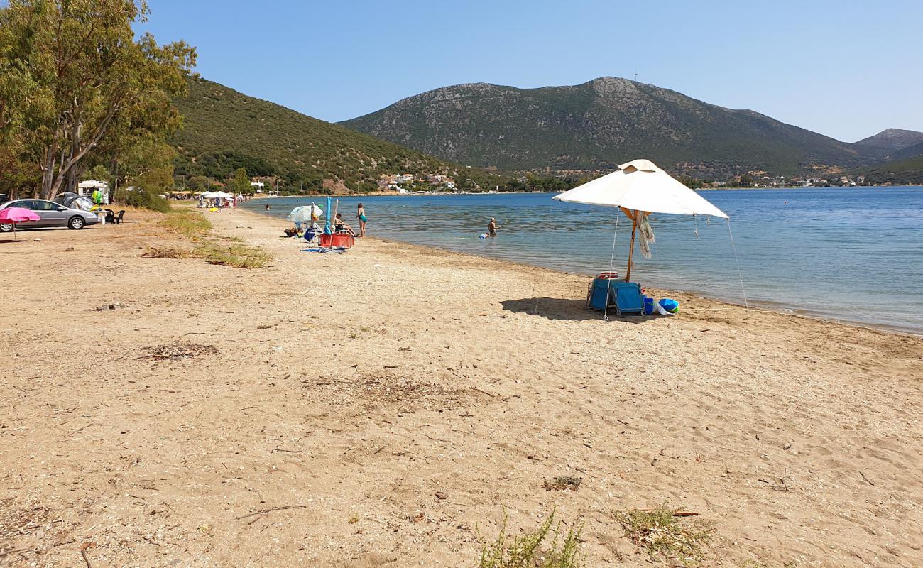 Foto af Almyropotamos beach med sort sand og småsten overflade