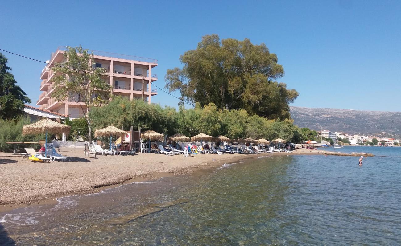 Foto af Amarynthos 3 beach med gråt sand og småsten overflade