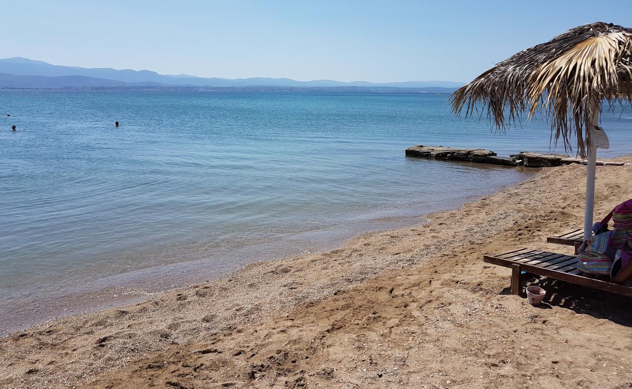 Foto af Thealos beach med gråt sand og småsten overflade