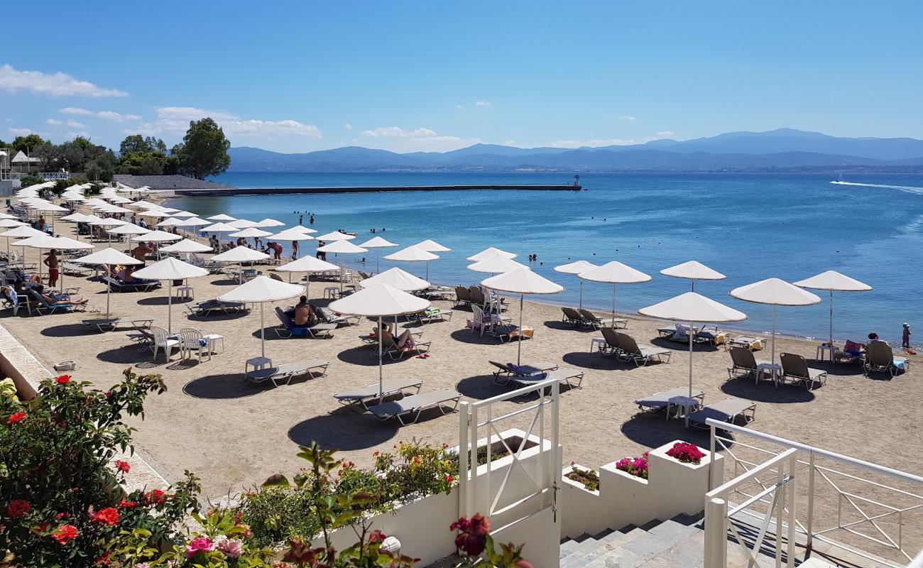 Foto af Palmariva free  beach med grå sand overflade