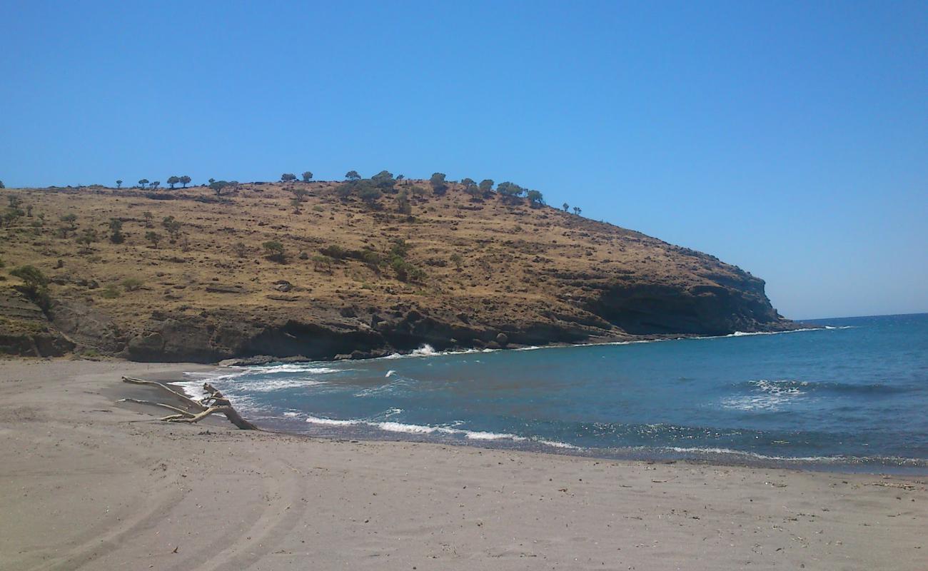 Foto af Agios Dimitrios beach med grå sand overflade