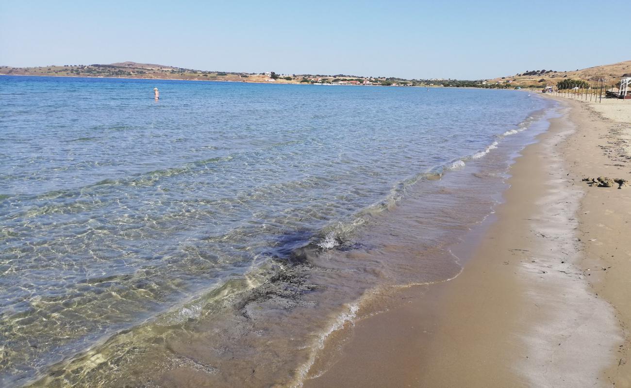 Foto af Kotsinas beach med lys fint sand overflade