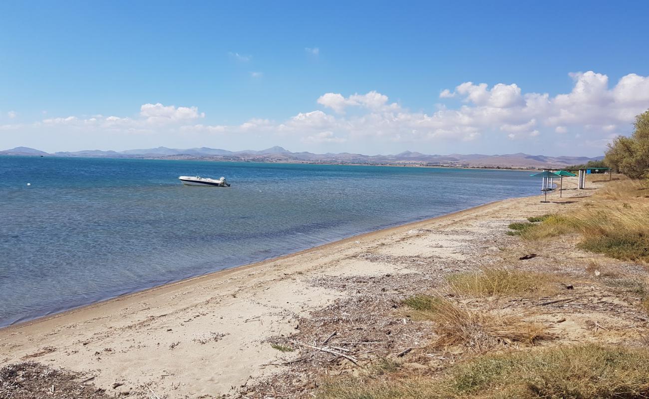 Foto af Paralia Lichnon med lys sand overflade