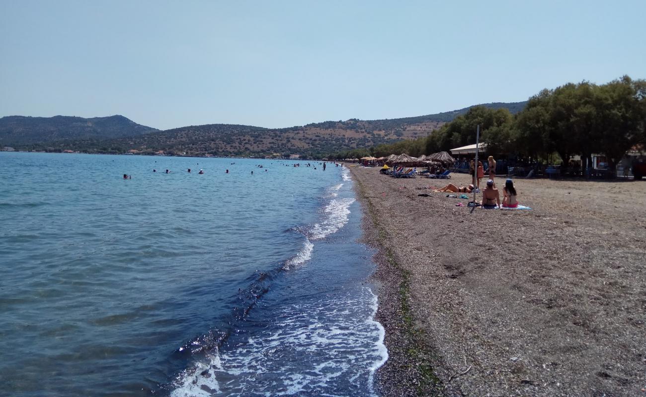 Foto af Nyphida beach med let sten overflade