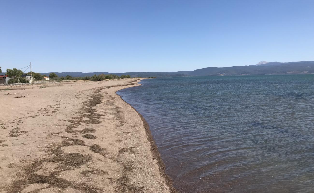 Foto af Kalloni beach med brunt sand overflade