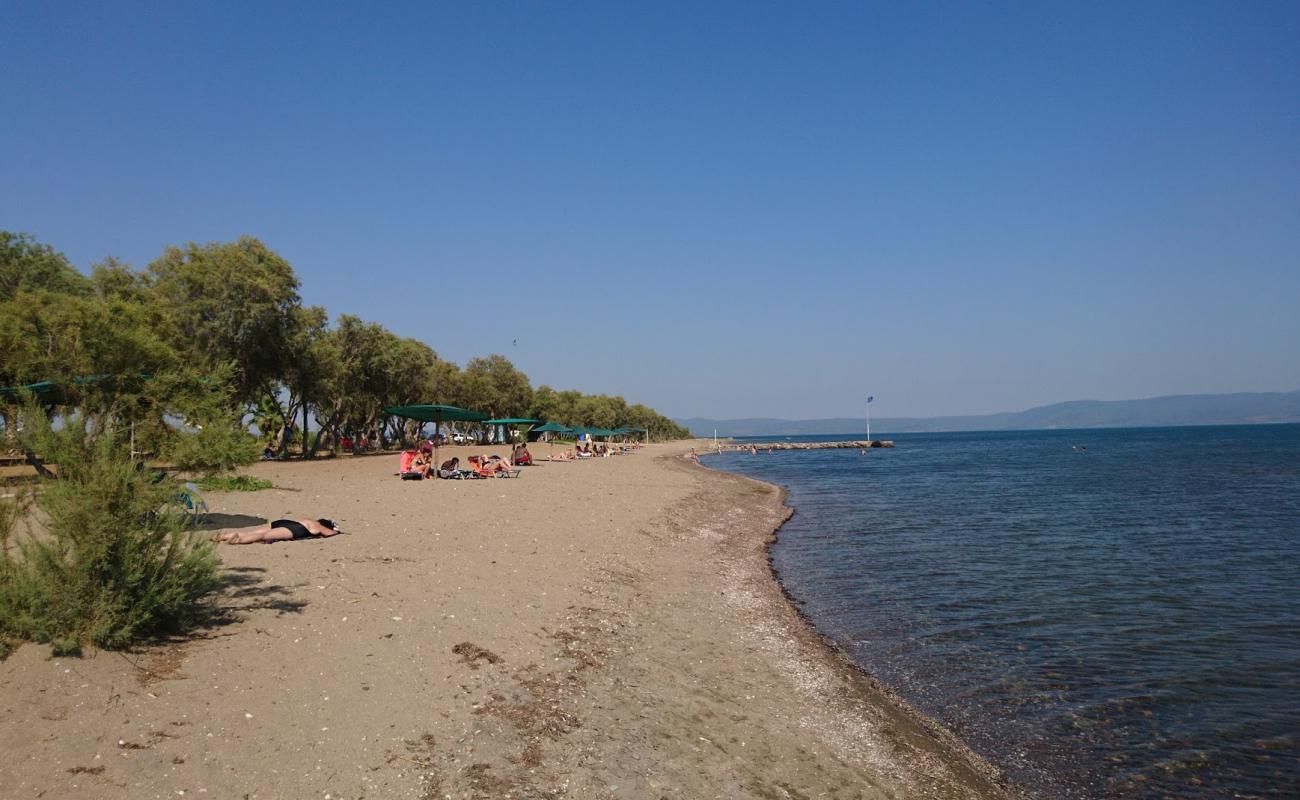 Foto af Kalloni beach II med lys sand overflade