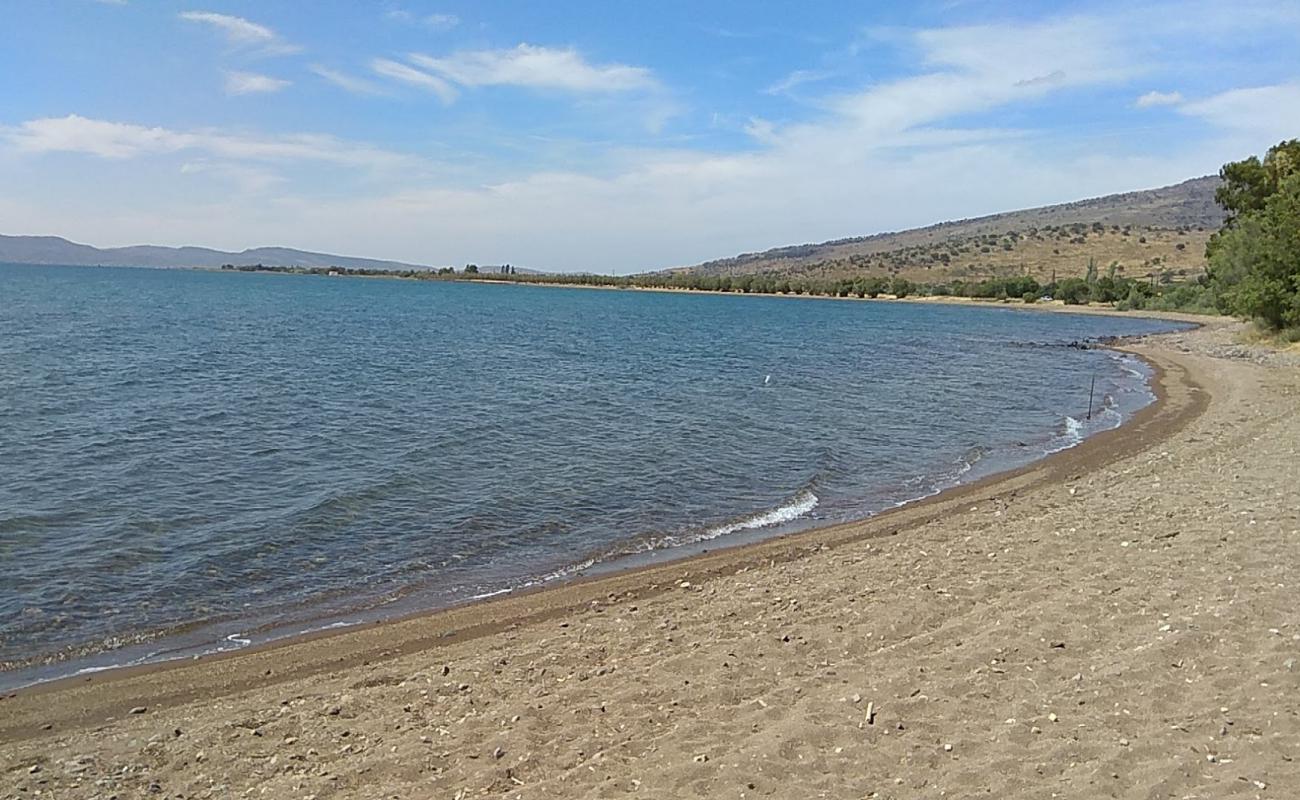 Foto af Parakila beach med brunt sand overflade