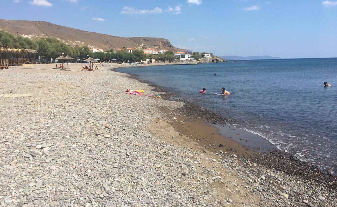 Foto af Paralia Tavari med lys sand overflade