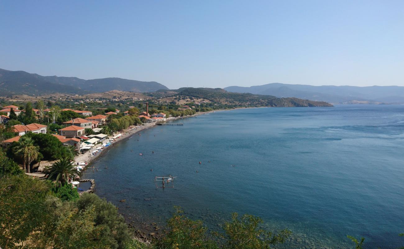 Foto af Delfinia beach II med let fin sten overflade