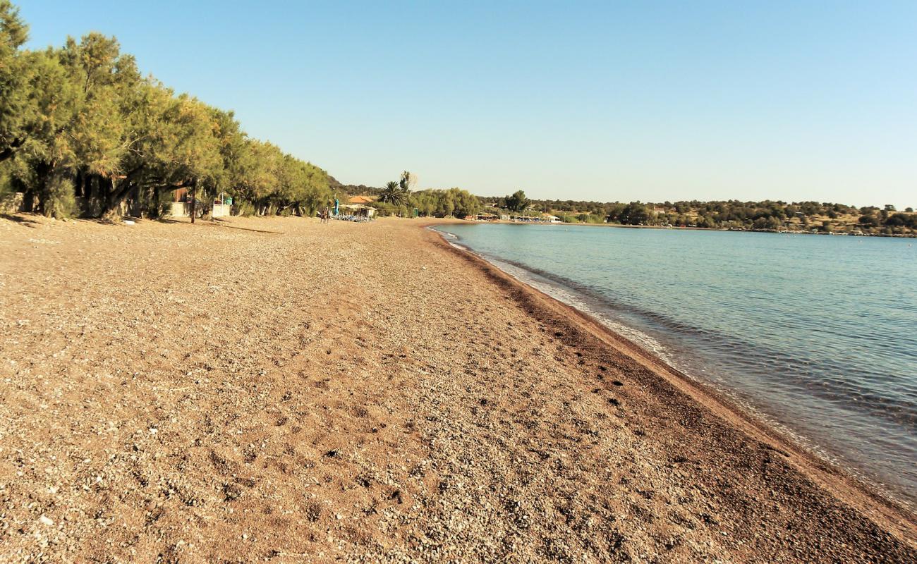 Foto af Paralia Tsonia med sort sand og småsten overflade