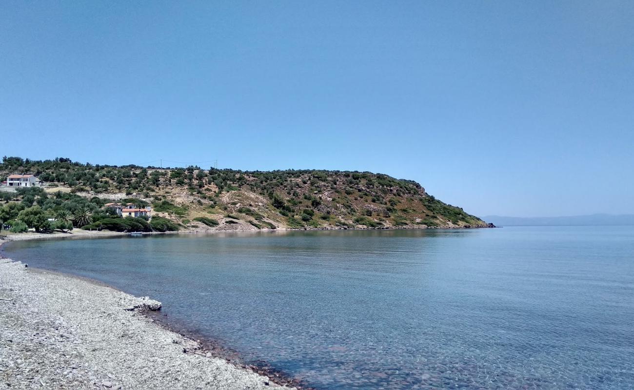 Foto af Xampelia Strand med let sten overflade