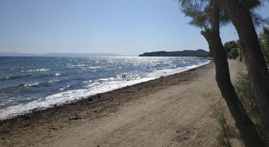 Kanoni beach