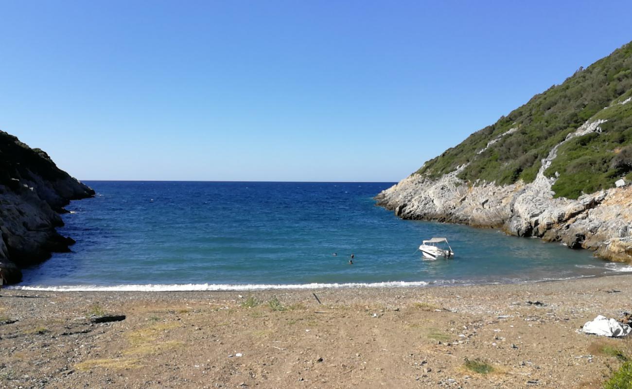 Foto af Vrysitsa beach med grå sten overflade