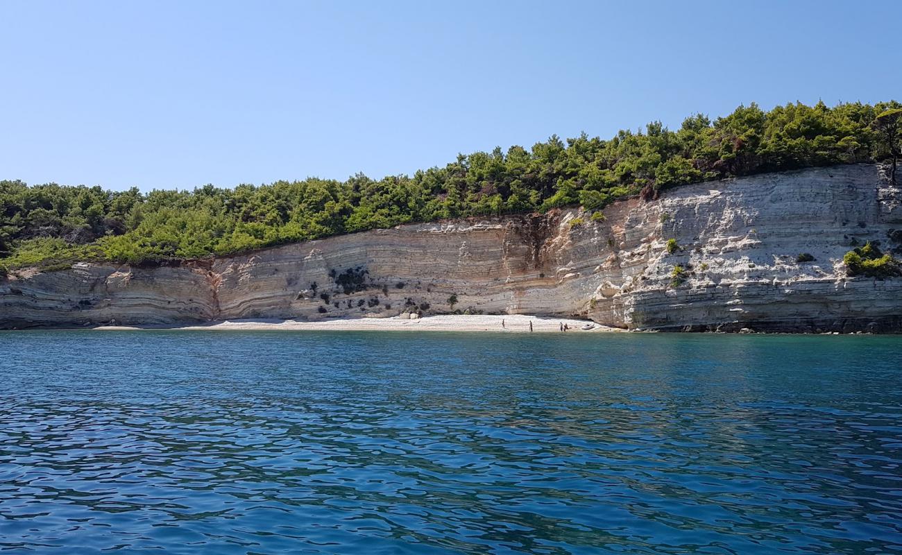 Foto af Lenna's beach med let sten overflade