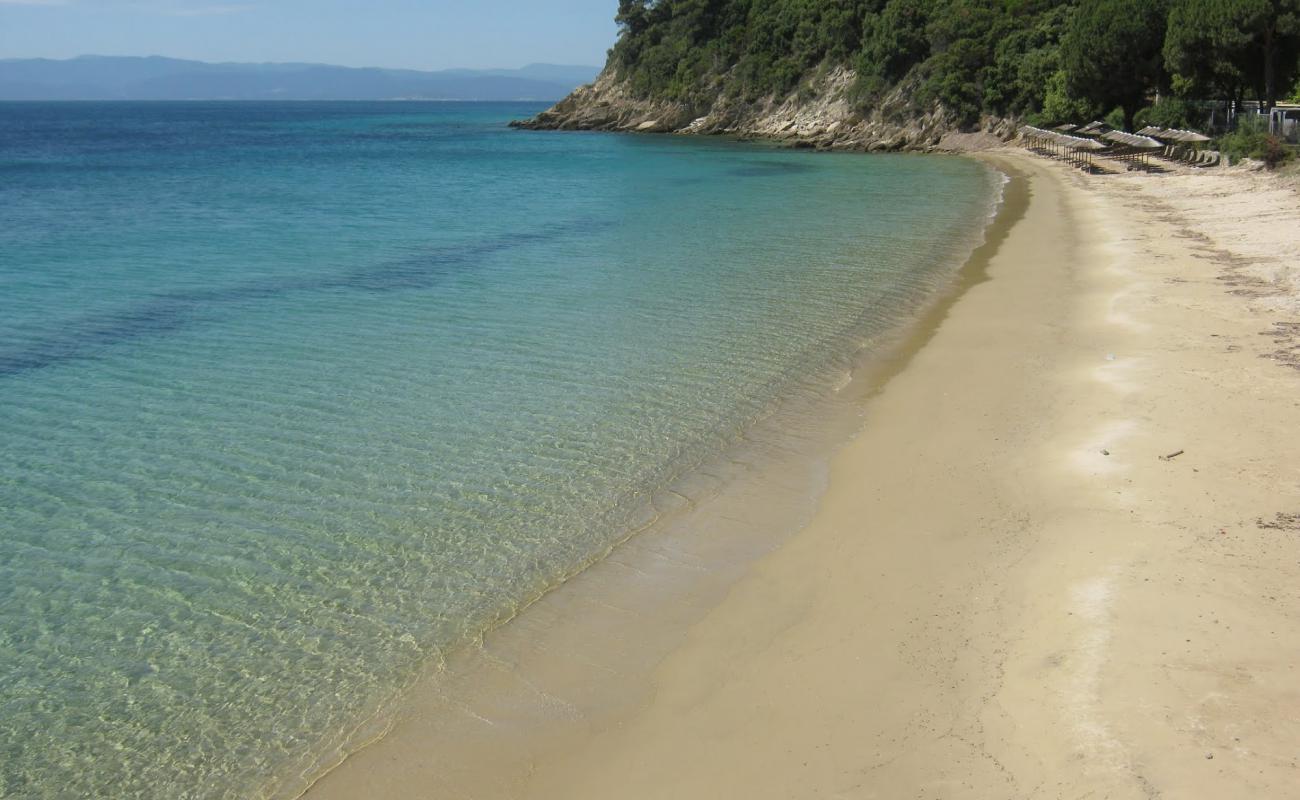 Foto af Xenia beach med grå sand overflade