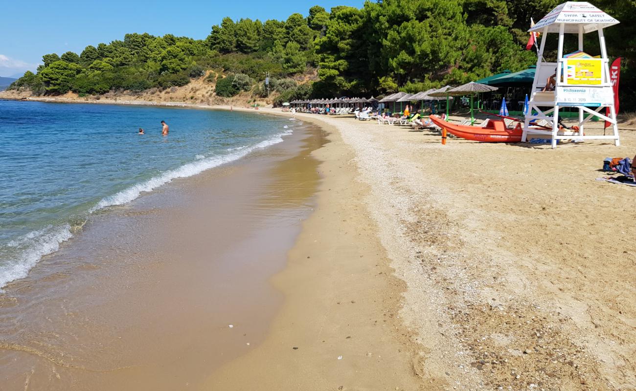 Foto af Agia Eleni Strand med gråt sand og småsten overflade