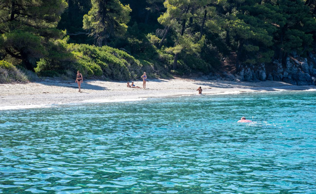 Foto af Golden King Villas beach med grå sand overflade