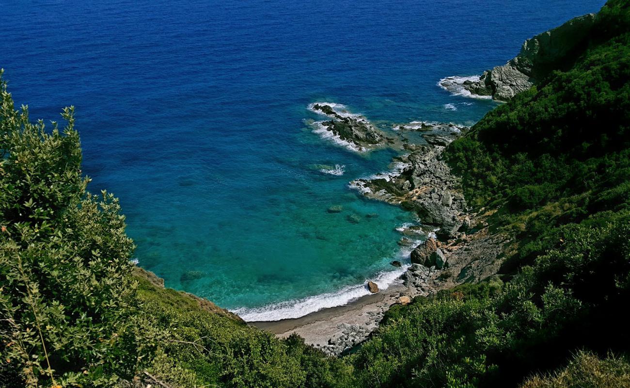 Foto af Marie beach med lys skaldesand overflade