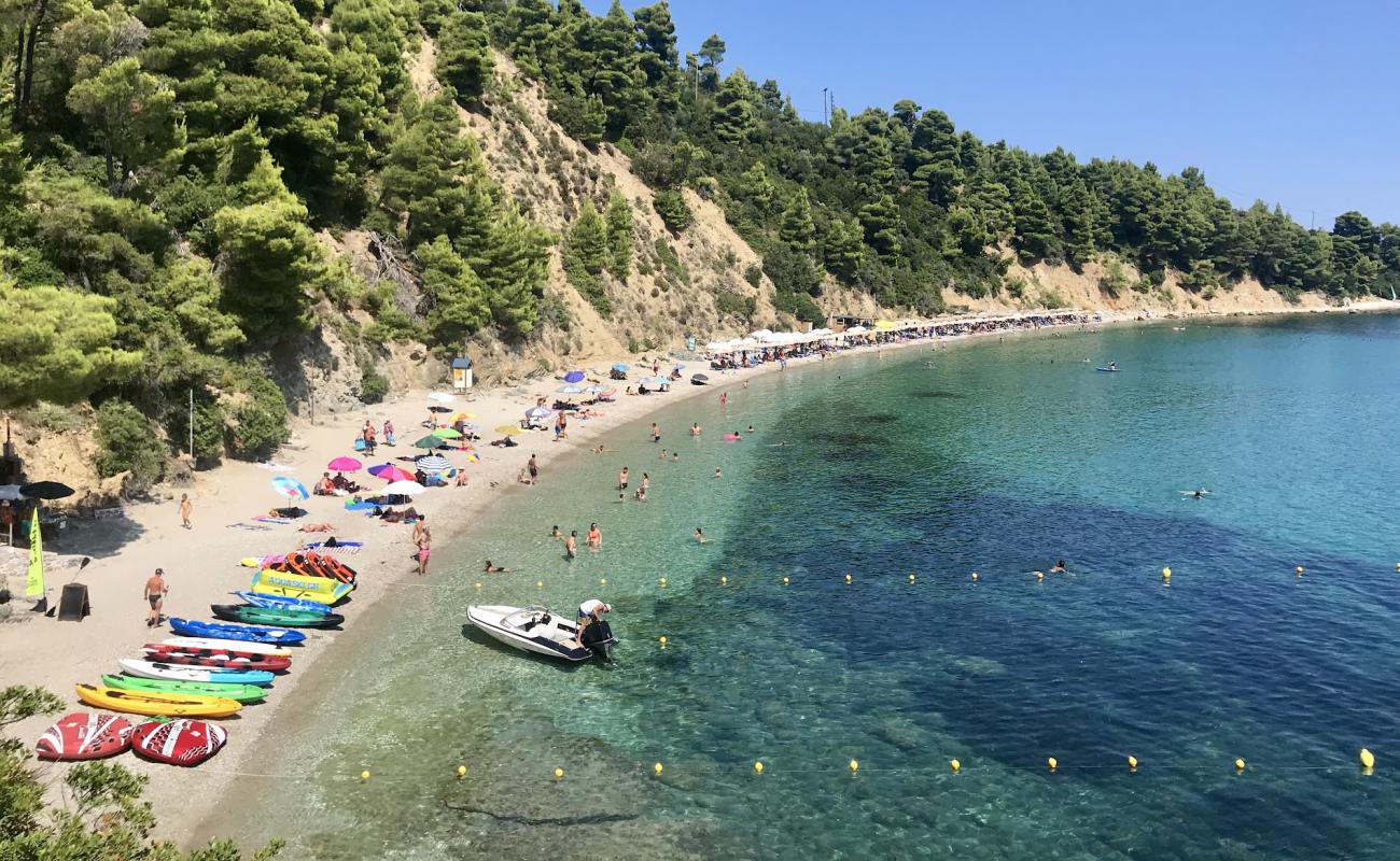 Foto af Stafilos beach med brun fin sten overflade