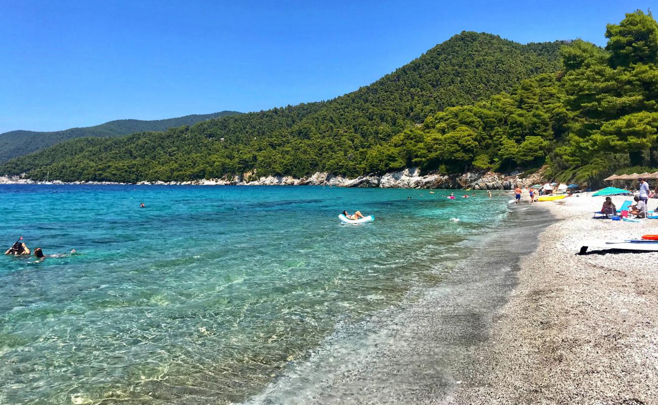 Foto af Milia beach med grå sten overflade