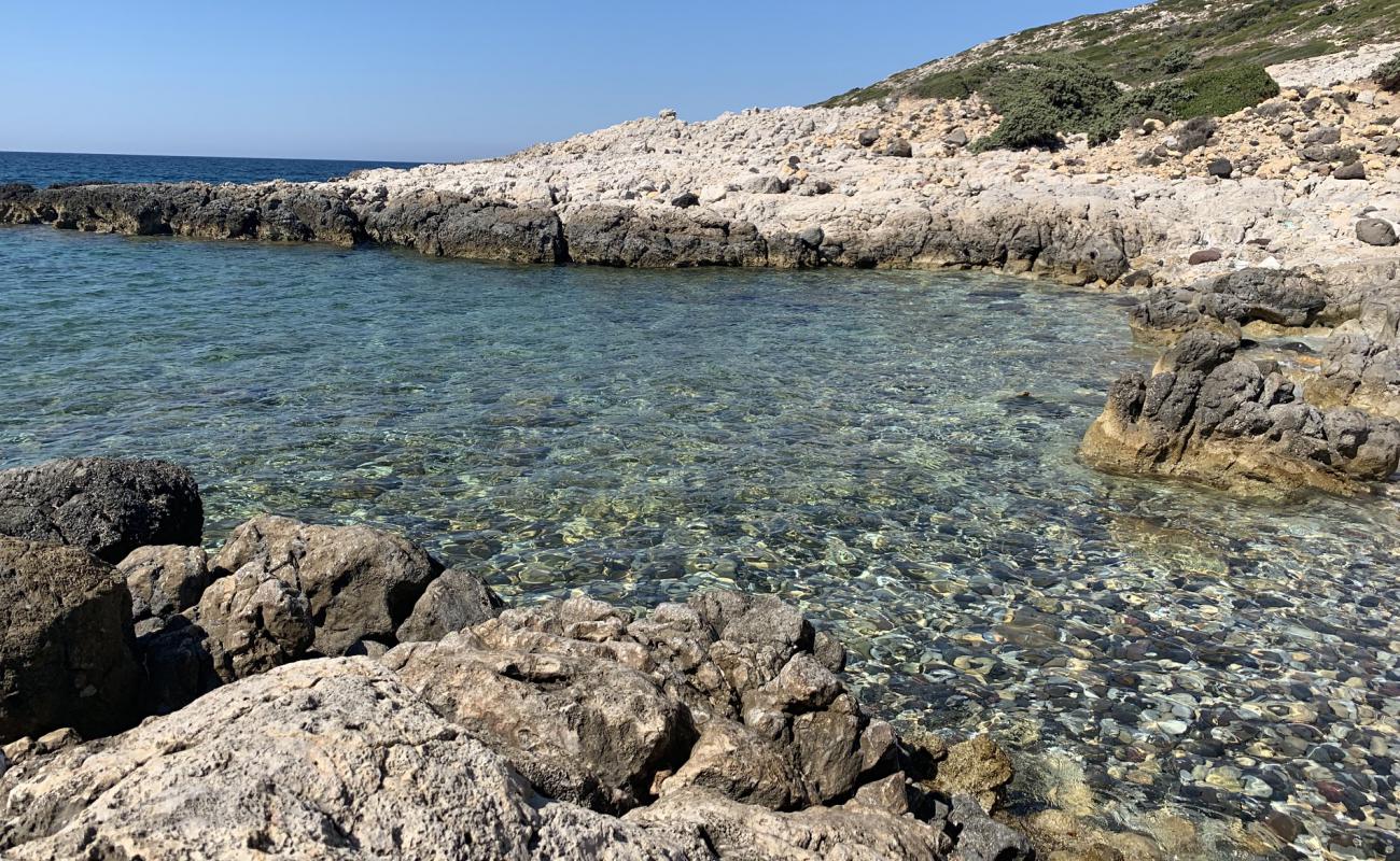 Foto af Eukaryotes cove beach med sten overflade