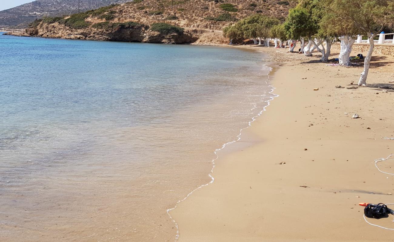 Foto af Lowland beach med grå sand overflade