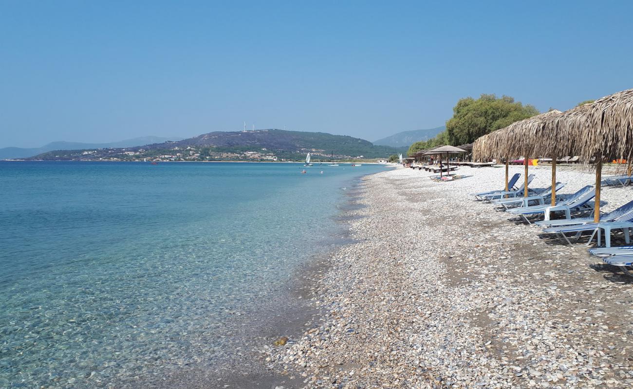 Foto af Mykali beach med let sten overflade